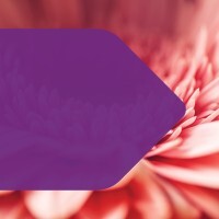 Dentons Davis Brown logo